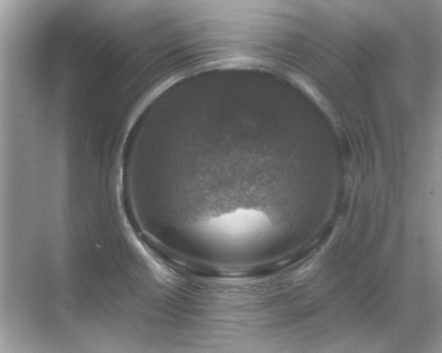 X0000071861418200607072315