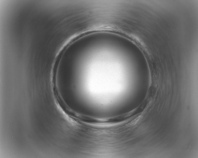 X0000071861422200607072316