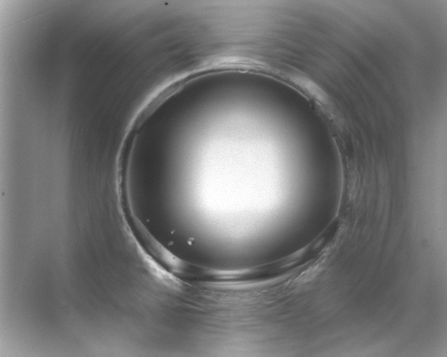 X0000071861430200607072316