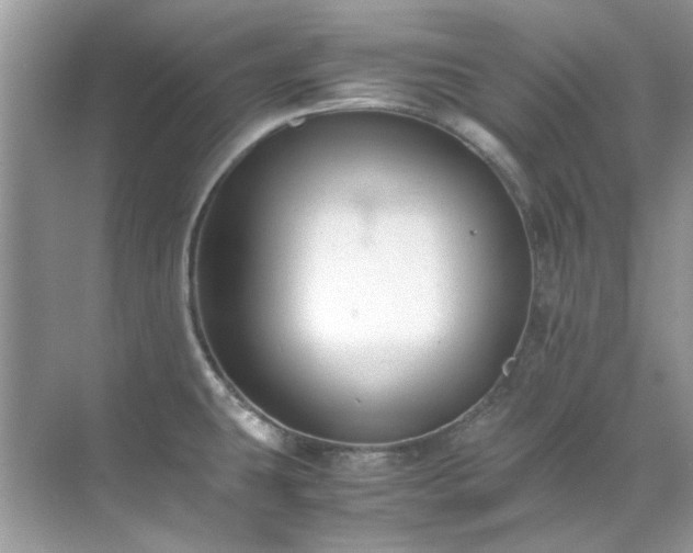 X0000071861431200607072316