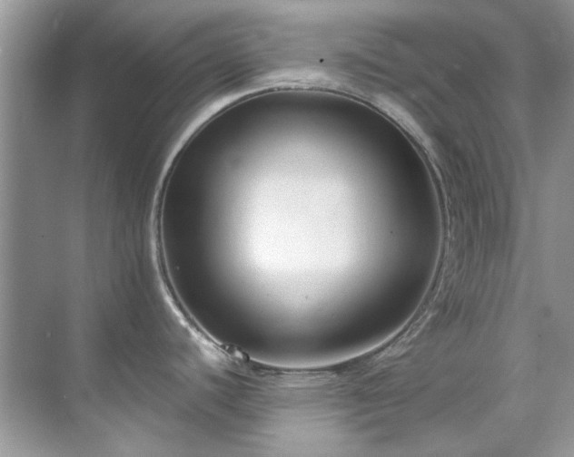 X0000071861440200607072316