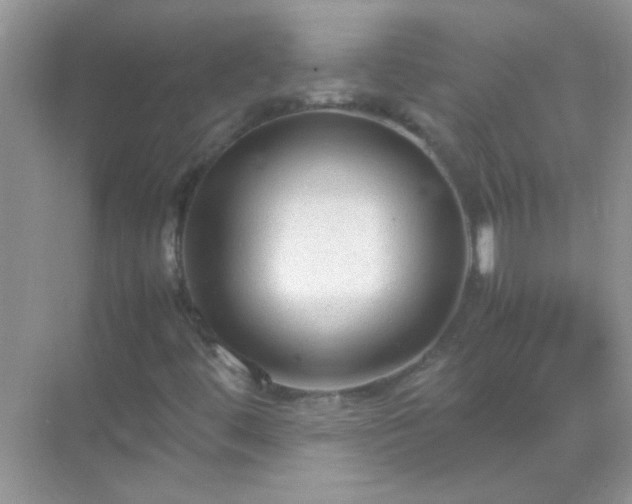 X0000071861444200607072315