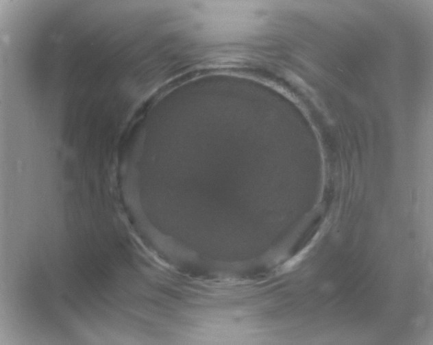 X0000071861449200607072315