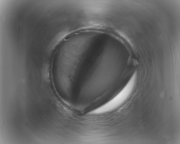 X0000071861455200607072315
