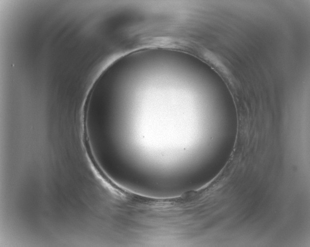 X0000071861479200607072314
