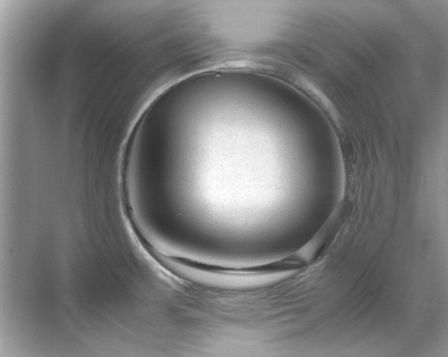 X0000071861483200607072314