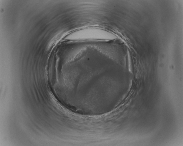 X0000071860002200607141827