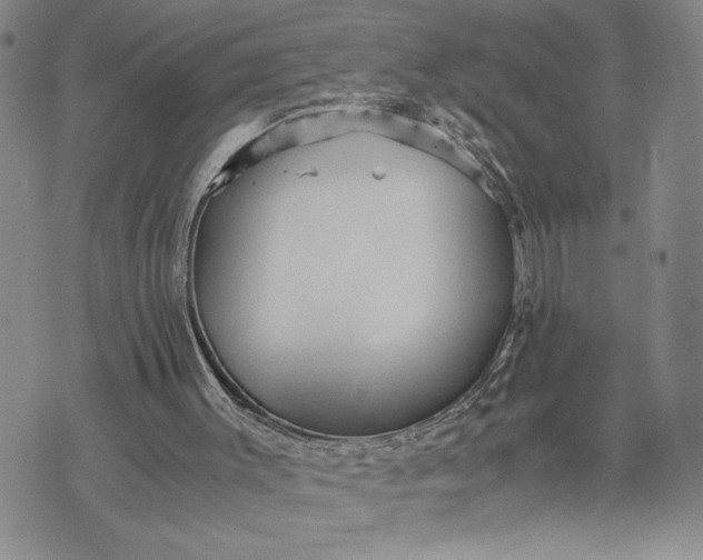 X0000071860003200607141827