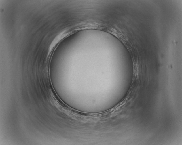 X0000071860004200607141827