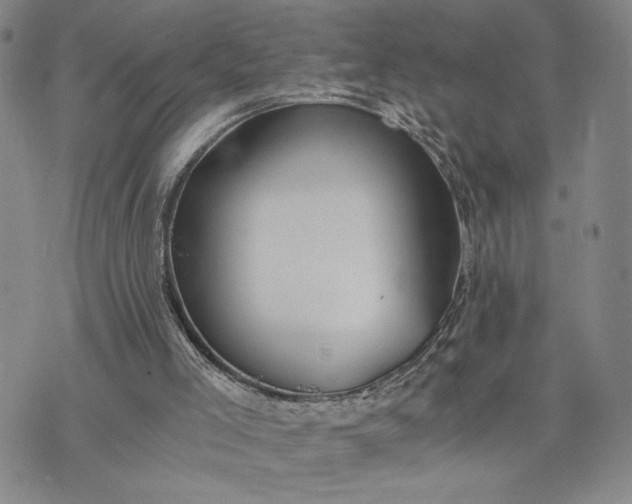 X0000071860005200607141827