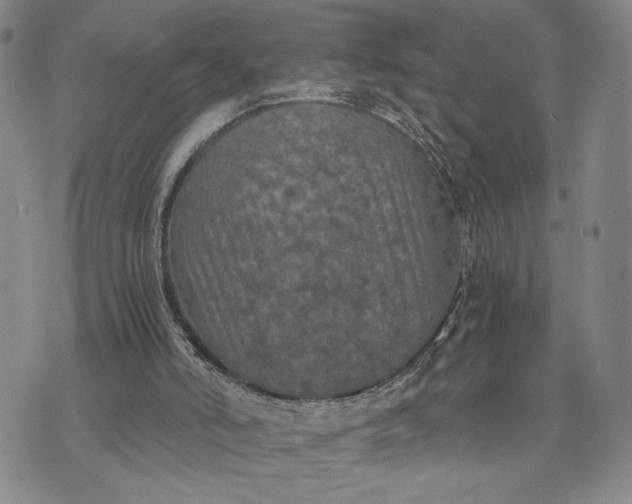 X0000071860006200607141827