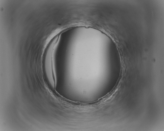 X0000071860008200607141827