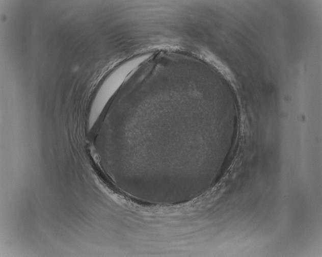 X0000071860009200607141827