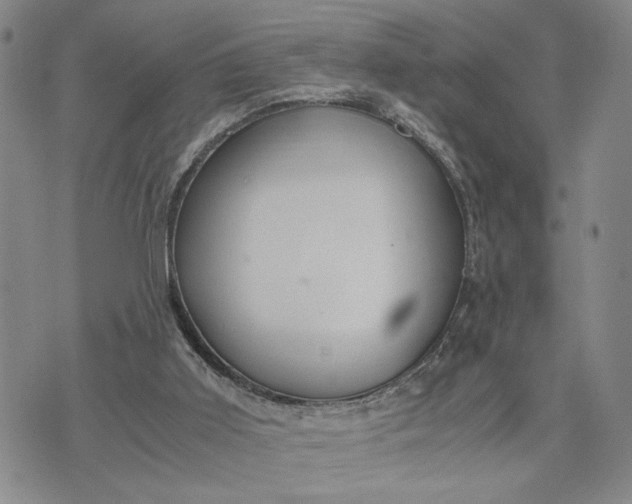 X0000071860011200607141827