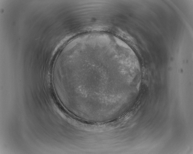 X0000071860012200607141827