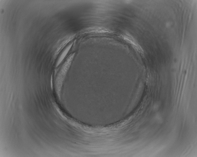 X0000071860014200607141827