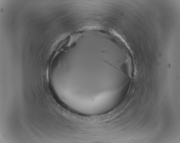 X0000071860019200607141826