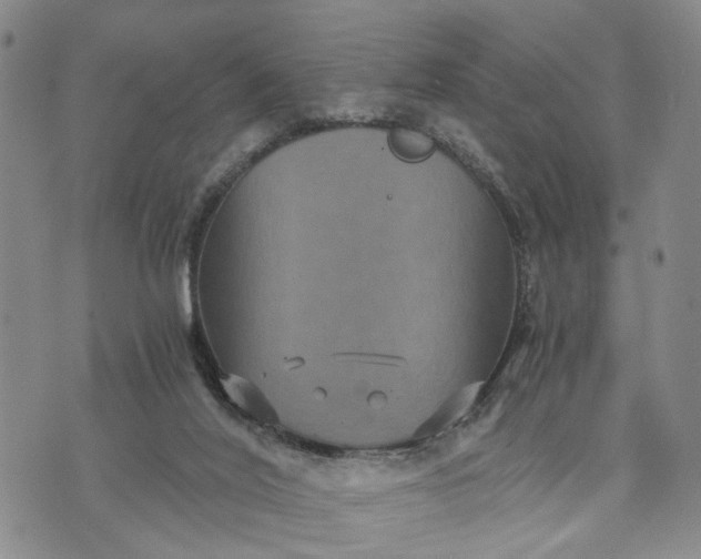 X0000071860020200607141826