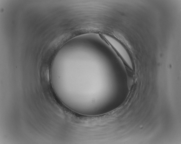 X0000071860021200607141826