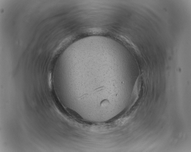 X0000071860024200607141826