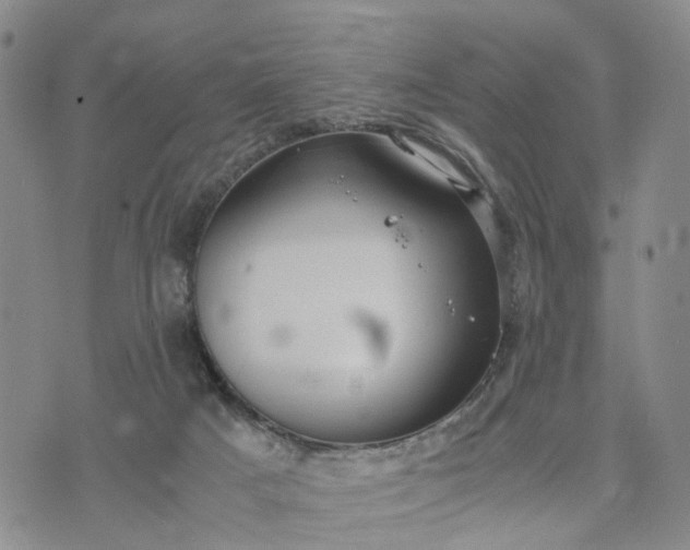 X0000071860025200607141826