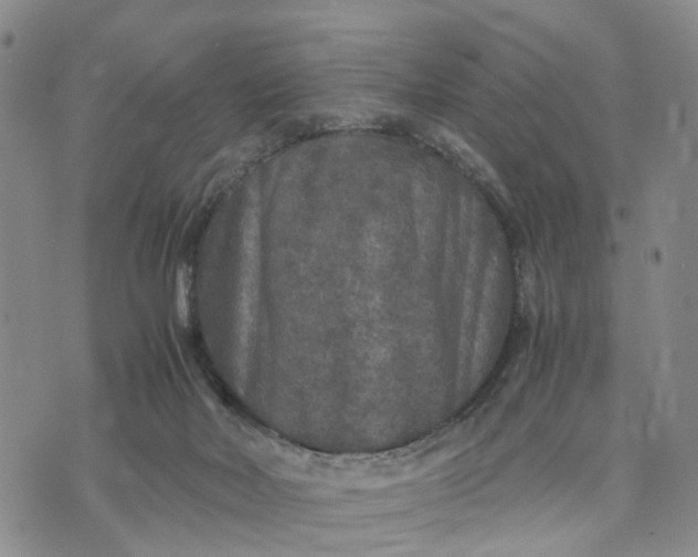 X0000071860026200607141826