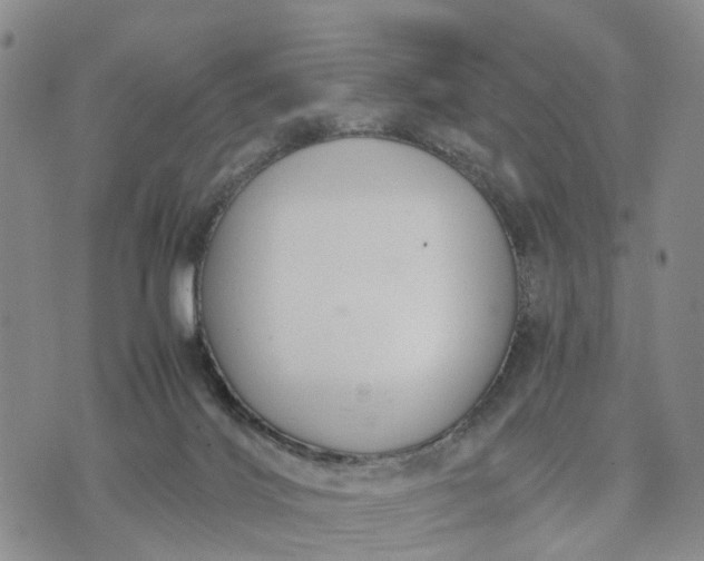 X0000071860028200607141826