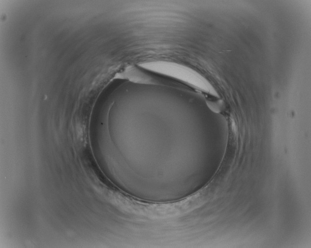 X0000071860031200607141826