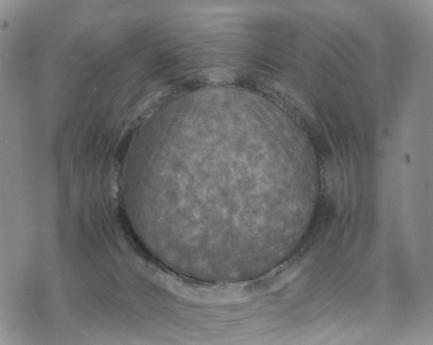 X0000071860032200607141826