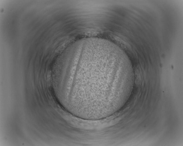 X0000071860034200607141826