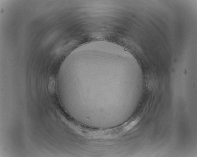 X0000071860036200607141826