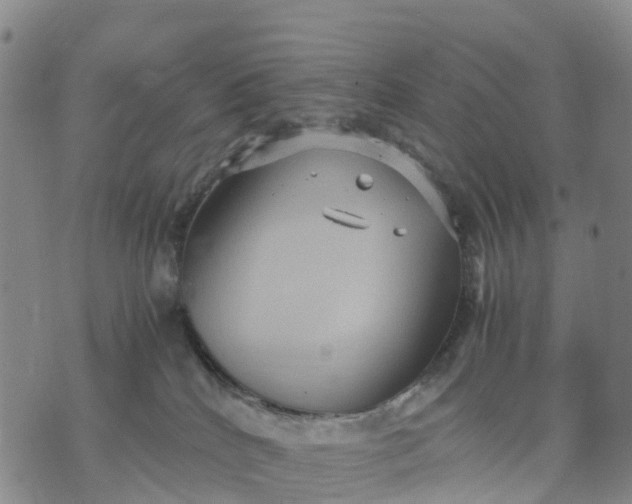 X0000071860040200607141826