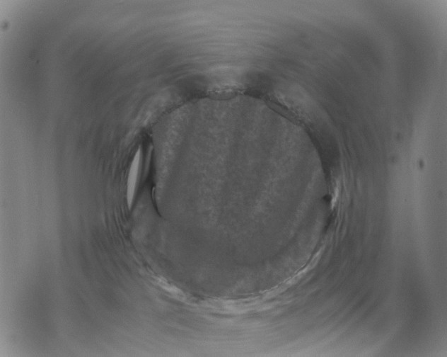 X0000071860041200607141826