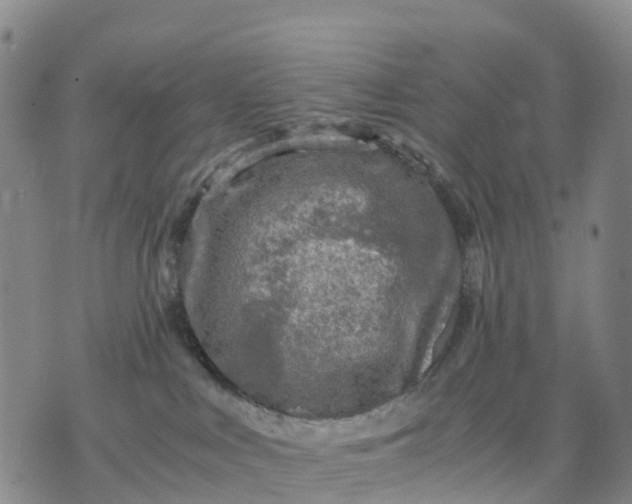 X0000071860043200607141826