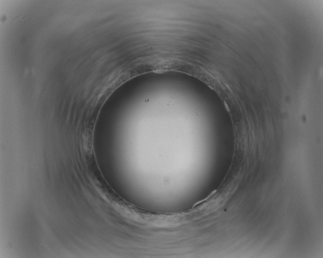 X0000071860044200607141826