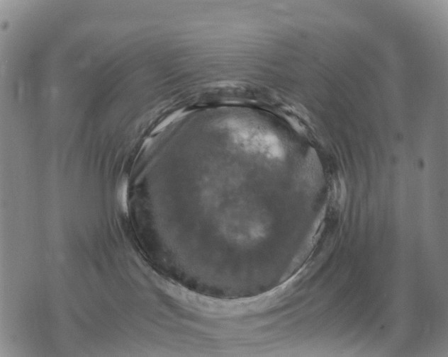 X0000071860047200607141826