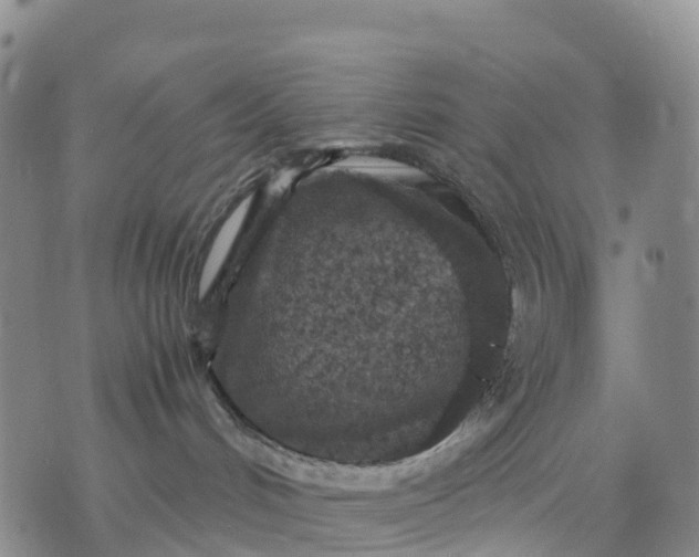 X0000071860048200607141826