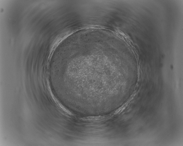 X0000071860049200607141825