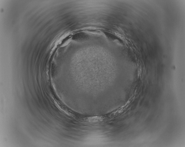 X0000071860050200607141825