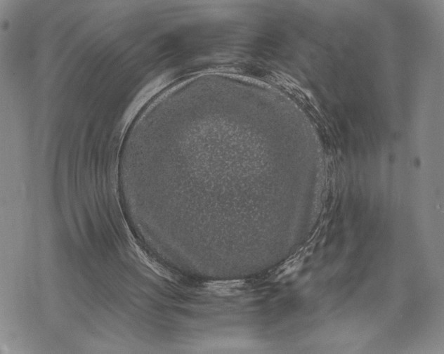 X0000071860051200607141825