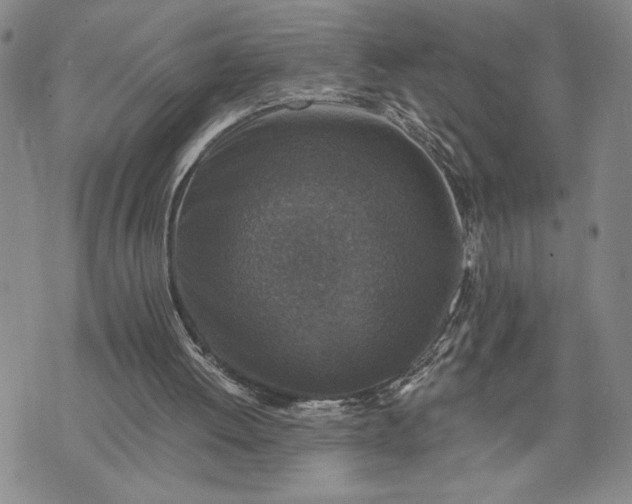 X0000071860052200607141825