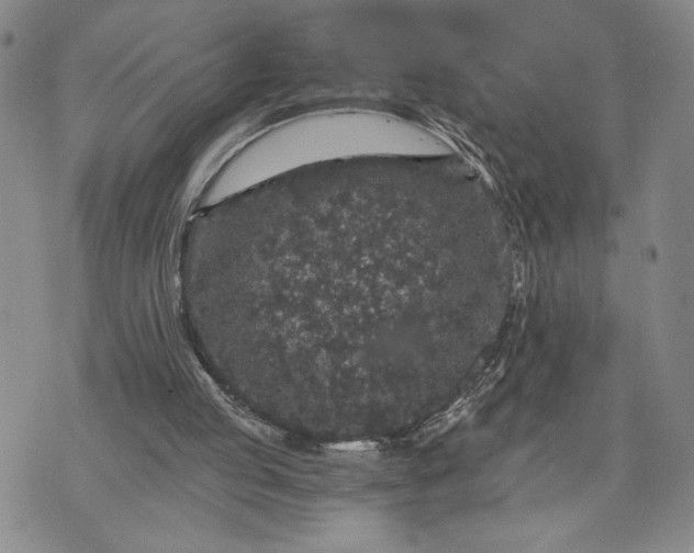 X0000071860053200607141825