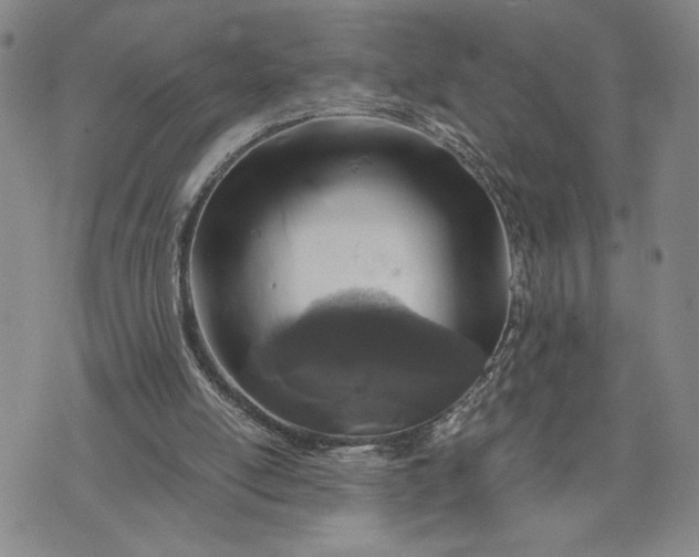 X0000071860054200607141825