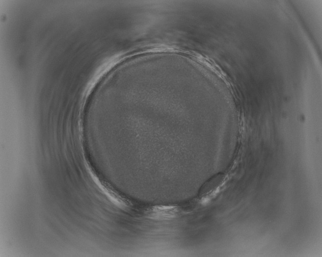 X0000071860055200607141825