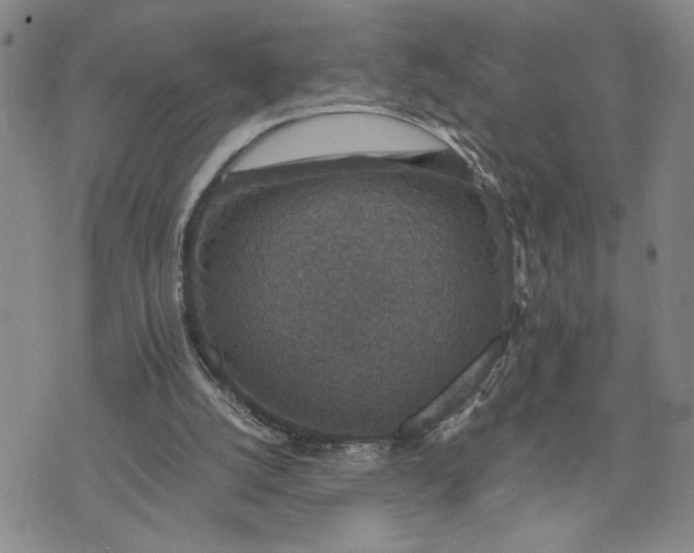 X0000071860056200607141825