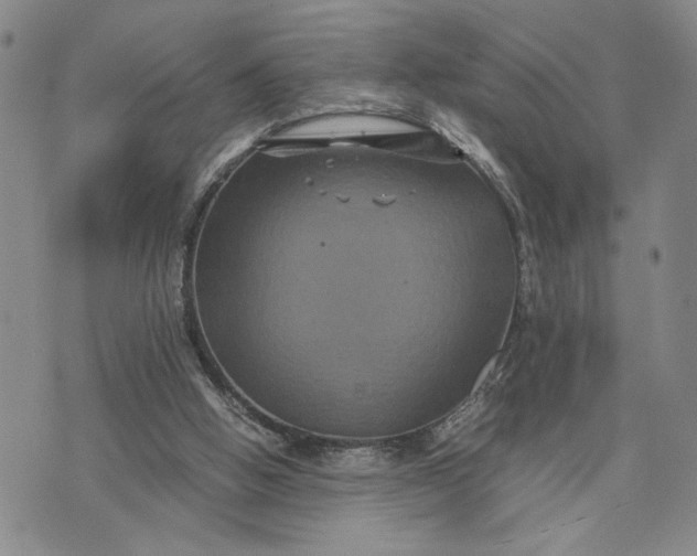 X0000071860058200607141825