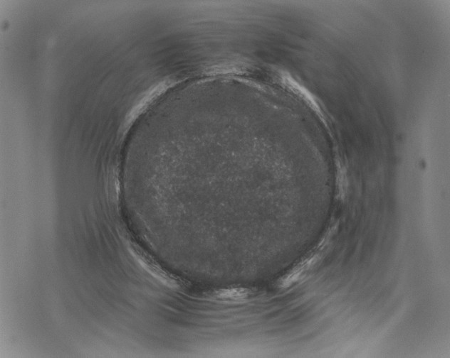 X0000071860059200607141825