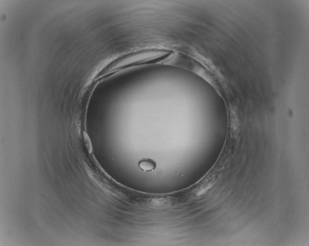 X0000071860060200607141825