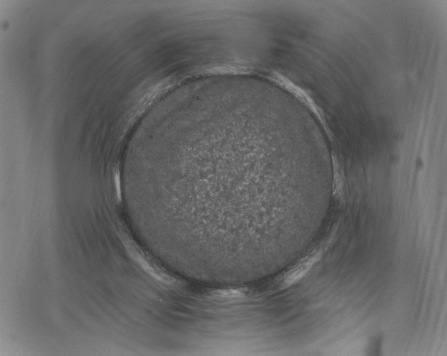 X0000071860061200607141825