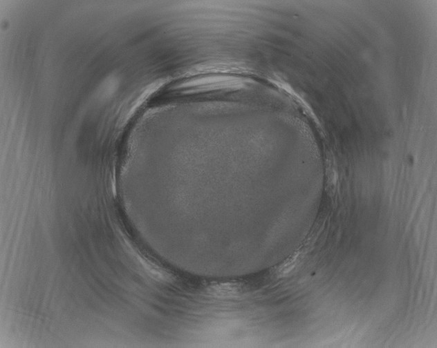 X0000071860062200607141825